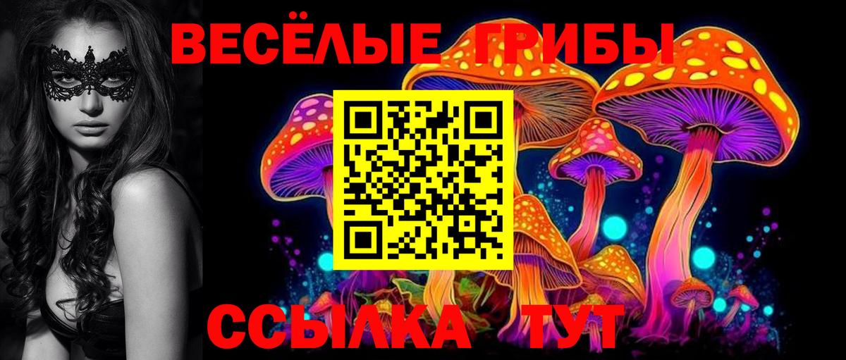Северобайкальск  Галлюциногенные грибы Cubensis  Вход с VPN 